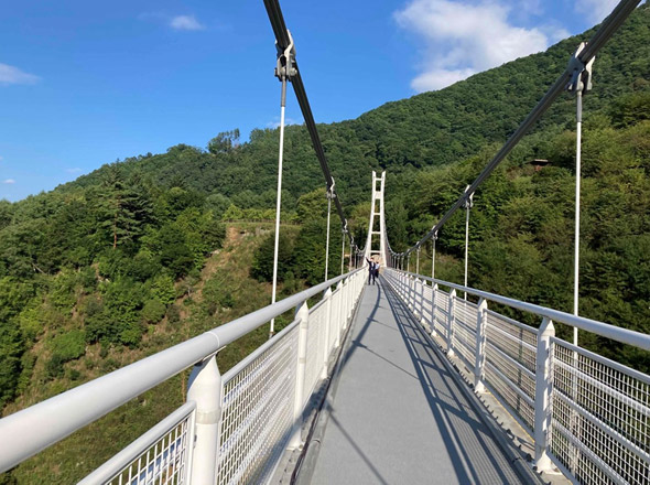 上野村スカイブリッジ